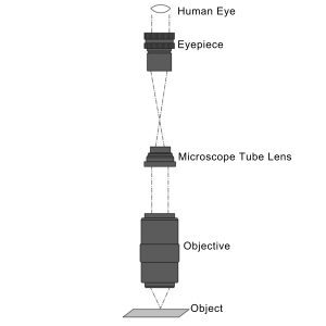 Infinitely Conjugate Long Working Distance Microscope Objectives