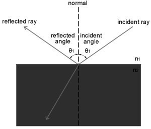 This image illustrates both foundational laws of geometric optics, the law of reflection and the law of refraction.