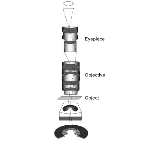 the complete guide to microscope objective lens