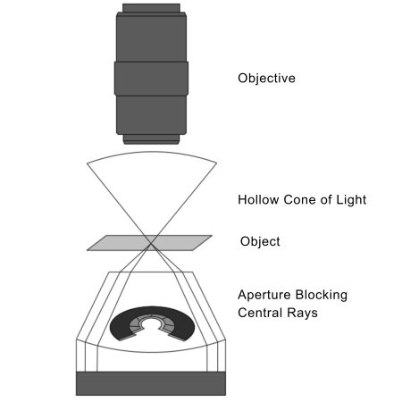 the complete guide to Microscope Objective Lens